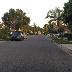 Meet your Posher, Daisy